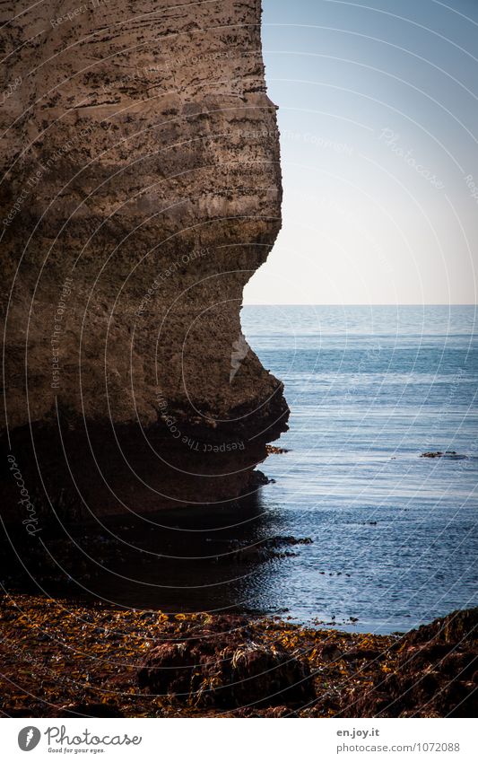 Diving without getting wet Adventure Far-off places Freedom Ocean Environment Nature Landscape Water Cloudless sky Horizon Climate Algae Aquatic plant Rock