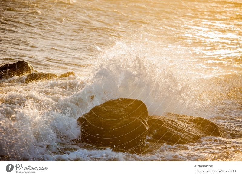 Baltic wave Landscape Water Drops of water Sunrise Sunset Sunlight Gale Rock Waves Coast Baltic Sea Strong White crest Surf Mecklenburg-Western Pomerania