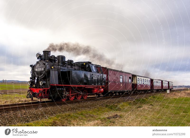 Doberan Molli Rail transport Train travel Railroad Engines Steamlocomotive Passenger train Railroad tracks Driving Vacation & Travel Bäderbahn Molli