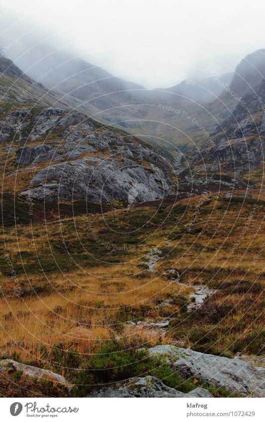 Glen into the unknown Vacation & Travel Island Mountain Scotland Highlands Landscape Plant Clouds Bad weather Storm Fog Rain Thunder and lightning Moss Rock