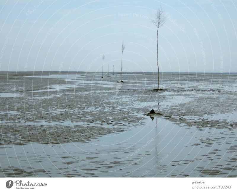 Wadden Sea and shipping lane at low tide Clouds Ocean Lake Beach Vacation & Travel Autumn To go for a walk Low tide Walk along the tideland Current Tree