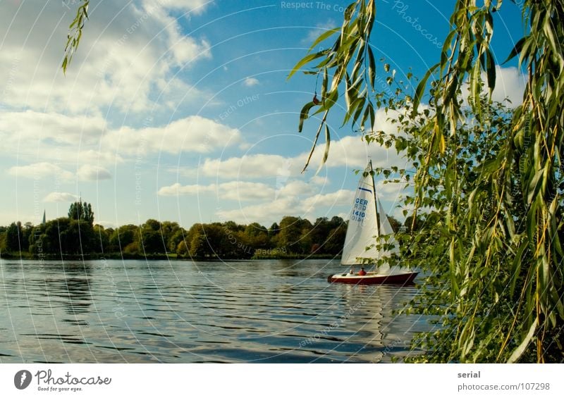 sailing out of sight Sailing Watercraft Sailboat Clouds Green Maritime Leisure and hobbies Tree Summer Hamburg Coast Sky Plant Blue Beautiful weather