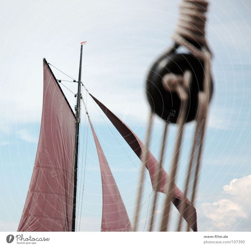 sails II Zeesen ship Sailboat Fishing boat 4 Red Brown Fishery Boddenlandscape NP Fischland-Darss-Zingst Rigging Sailing Summer Ocean Navigation Aquatics