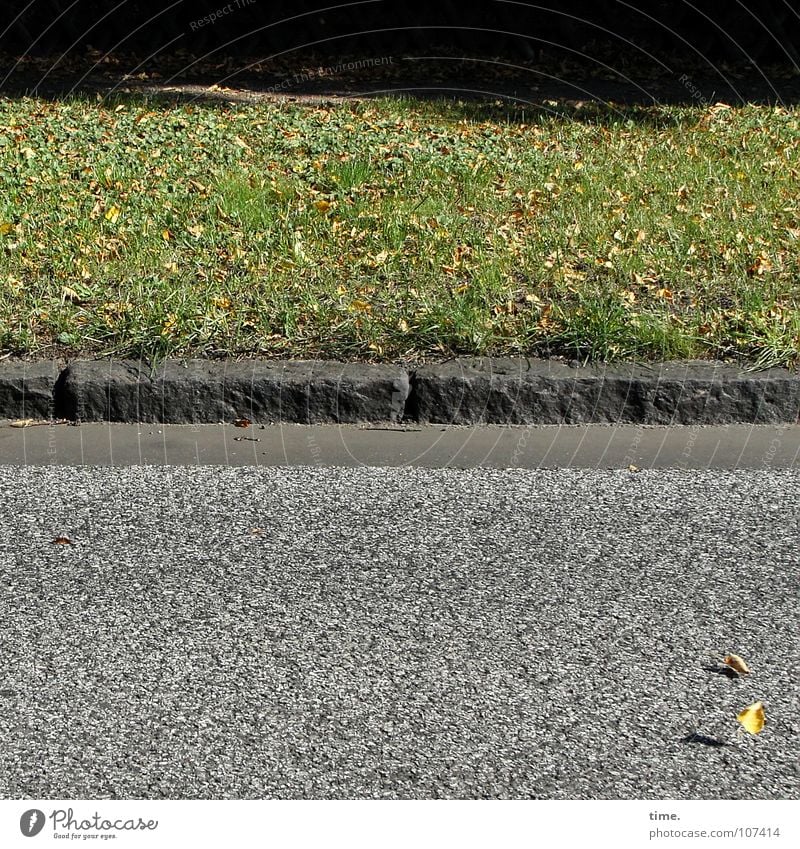 HerbstBlätterTanz has started Shadow Dance Autumn Wind Leaf Traffic infrastructure Street Stone Movement Asphalt Curbside 2 Wind chime Lawn Landing