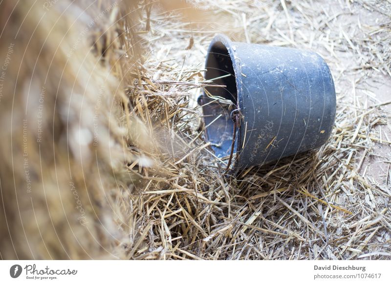 No hole is in the bucket Construction site Agriculture Forestry Calm Integrity Diligent Modest Thrifty Exhaustion Relaxation Competition Price tag Independence