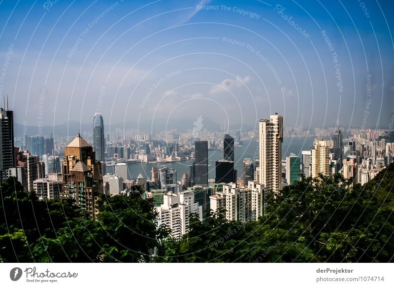 View from the window onto Hong Kong skyline Vacation & Travel Tourism Trip Adventure Far-off places Sightseeing City trip Summer vacation Mountain Environment