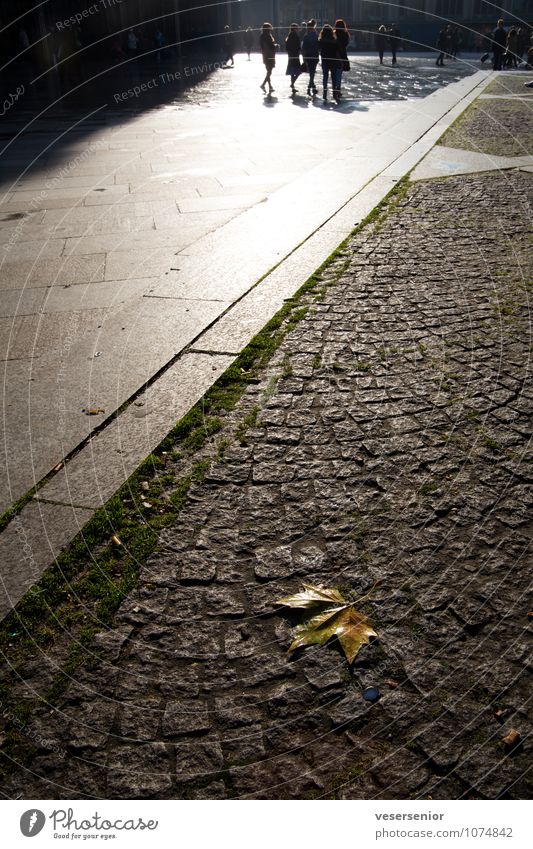 where's the street sweeper? Human being Group Cologne Downtown Old town Uniqueness Town Orderliness Cleanliness Hope Loneliness Death Transience Leaf Pavement