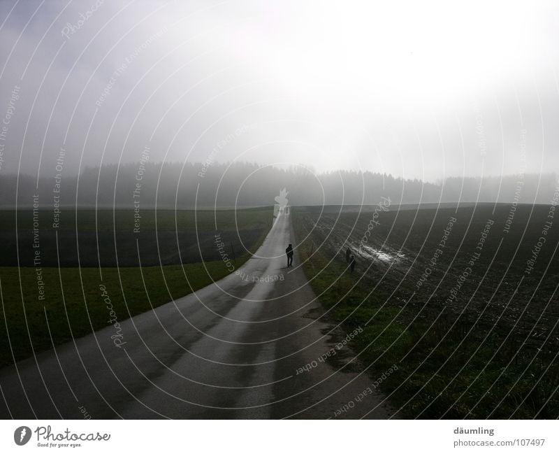 Fields in the fog Fog Calm Ambiguous Autumn Lanes & trails To go for a walk