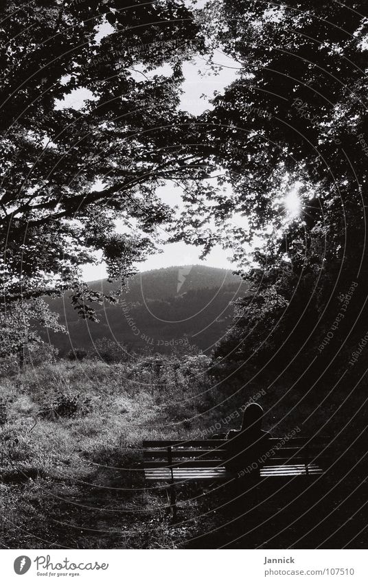 Come time, come advice Forest Tree Meadow Leaf Drops of water Calm Light Black & white photo Man Bench Mountain Human being Nature Contrast Shadow Gloomy