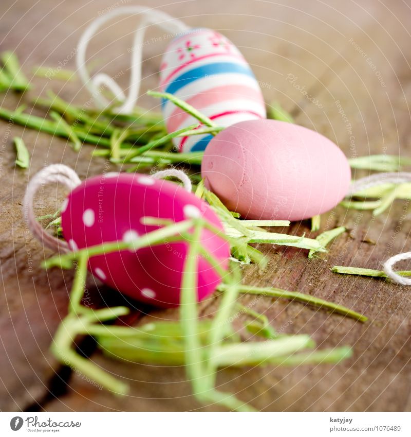 Easter eggs Spring Easter egg nest Egg Nest Gift Table Green Colour Dye Violet Holiday season Rustic String Close-up Multicoloured Ornate Tradition Decoration