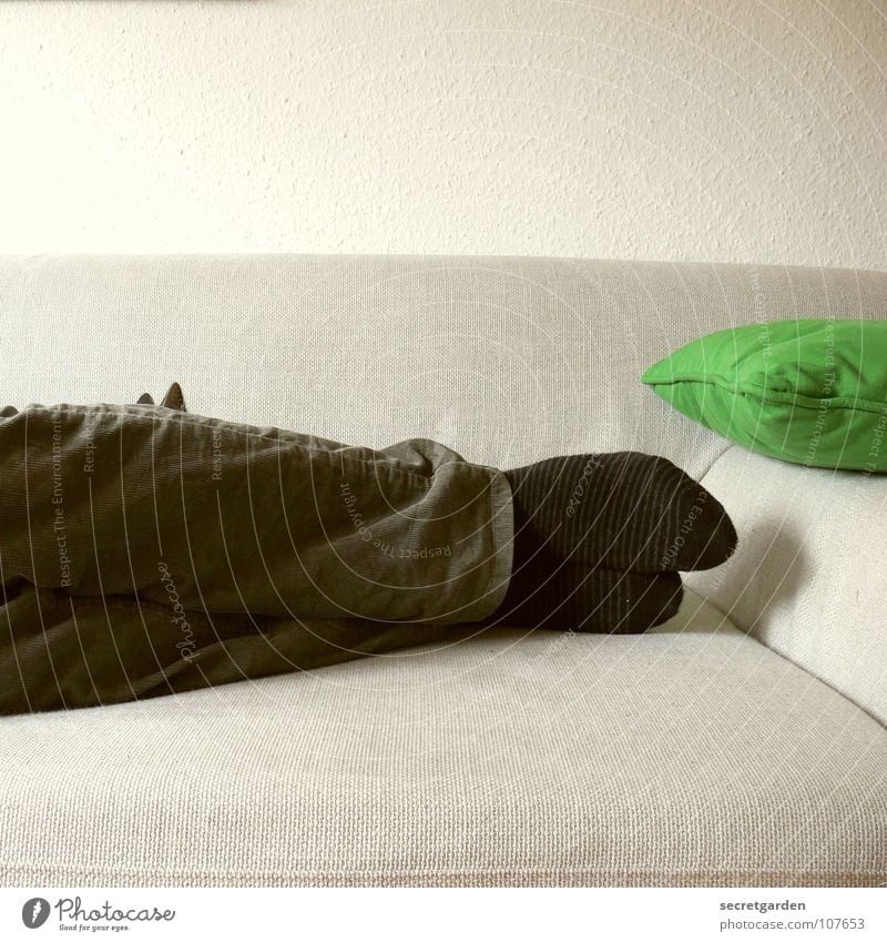 Nobody will find me here! Striped socks Stockings Cushion Clothing Pants Green Khaki Black Gray Sofa Sleep Horizontal Material Calm Stationary Man Living room