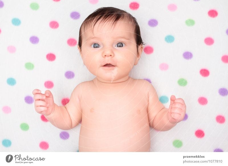 Little baby girl lying on blanket with colourful polka dots Lifestyle Beautiful Body Child Human being Baby Girl Infancy 0 - 12 months Small Cute Soft Pure