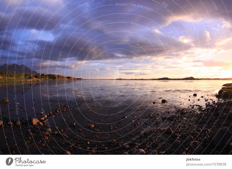 Watt, as far as the eye can see... Environment Nature Landscape Earth Water Sunrise Sunset Sunlight Summer Beautiful weather Rock Mountain Coast Lakeside Beach