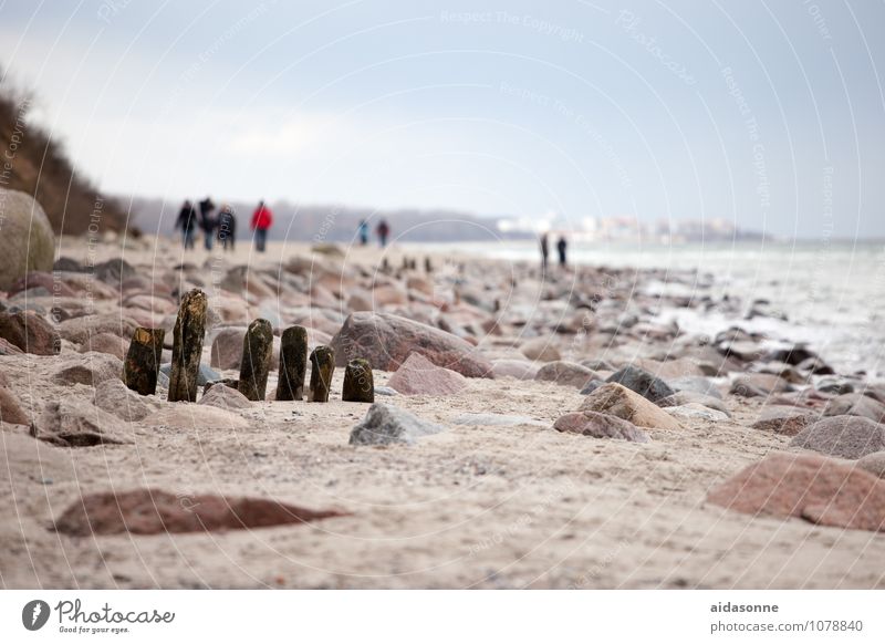 Baltic beach Landscape Sand Winter Beautiful weather Coast Baltic Sea Hiking Attentive Caution Serene Calm Endurance Boredom Wanderlust Loneliness Comfortable