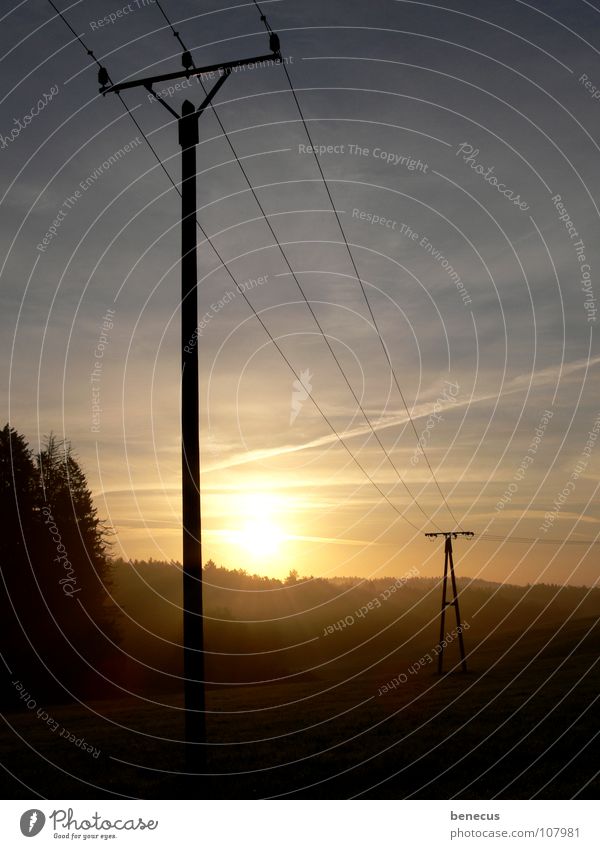 About country Electricity Electricity pylon T Transmission lines 3 Sunlight Morning Sunrise Meadow Edge of the forest Fog Fog bank Light Infrastructure