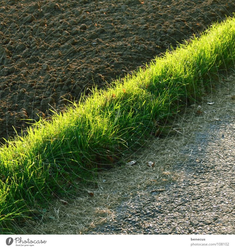 % Field Brown Diagonal Grass Stripe Green Asphalt Gray Footpath Half Arable land Plowed Earth Lanes & trails Division Margin of a field Real estate