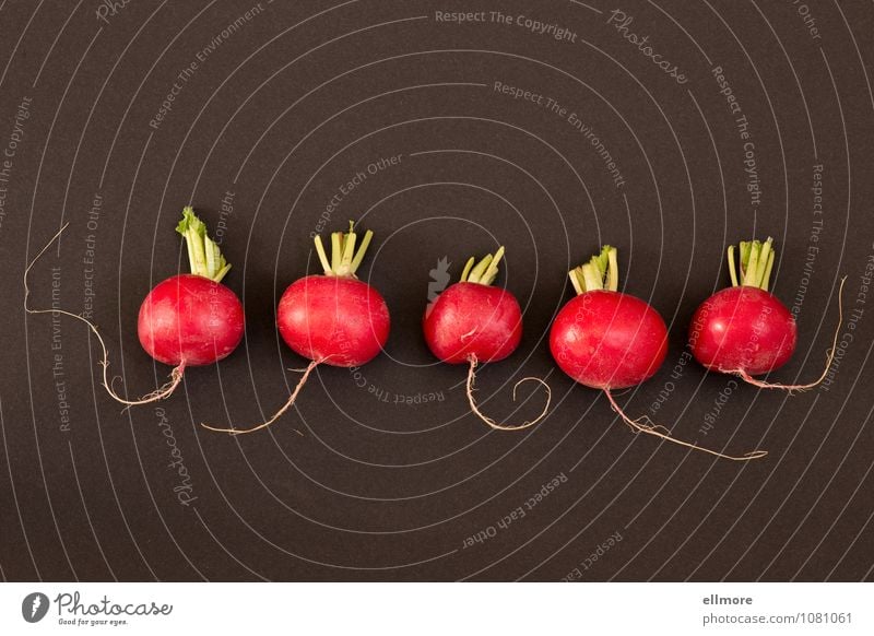 capers Food Vegetable Radish Gray Green Red Black Nutrition 5 Crunchy Colour photo Interior shot Copy Space top Copy Space bottom Neutral Background Day