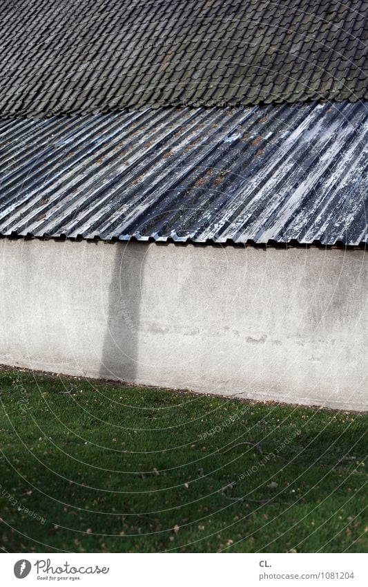 stale 2 Tree Grass Meadow Wall (barrier) Wall (building) Roof Roofing tile Gloomy Gray Green Boredom Stagnating Colour photo Exterior shot Deserted Day Light