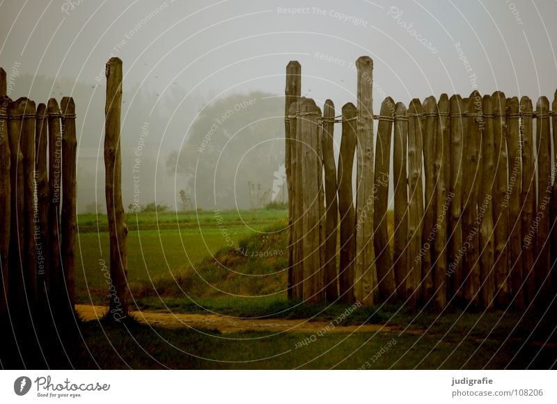 solstice Wood Wall (barrier) Fence Break Fog Manmade structures Observatory Winter solstice Seasons Meadow Science & Research Historic Colour Tree trunk Pole