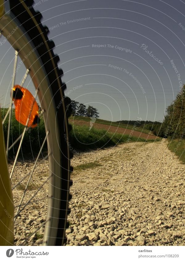 in the woods there ... Autumn Weekend Stupid Mountain bike Risk of accident Leisure and hobbies Blue sky go mushrooming want to survive prefer to take pictures