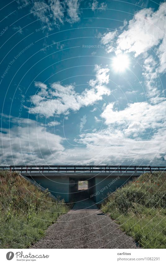 The bridge was crooked. Vacation & Travel Far-off places Sun Logistics Sky Clouds Beautiful weather Bridge Transport Passenger traffic Highway Target Underpass