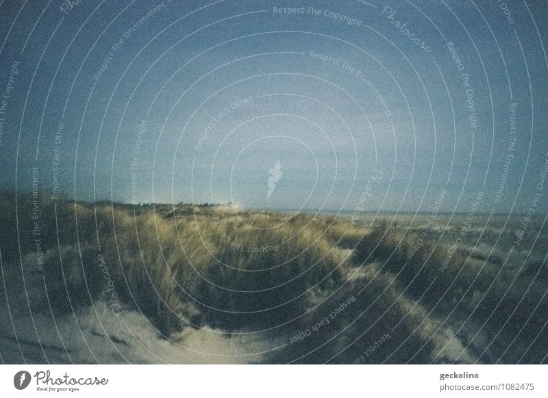 Dune at night Nature Landscape Sand Water Sky Night sky Plant Grass Coast Beach North Sea Island Amrum Blue Gray Green Calm Contentment Loneliness Idyll