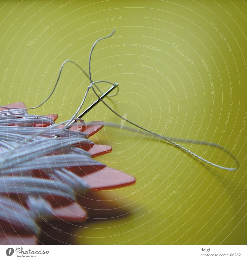 white star thread with needle and thread in front of a yellow background Sewing thread Buttons Sewing needle Loop Pierce Tailor Tailoring Broken Repair Blur