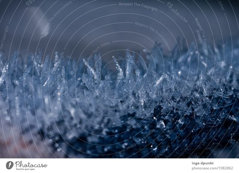 crystalline Environment Elements Water Winter Climate Weather Ice Frost Cold Hoar frost Freeze Ice crystal Crystal structure Abstract Structures and shapes