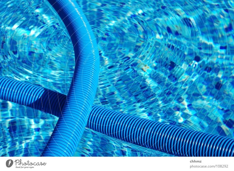 pool Swimming pool Water Cleaning Blue Hose Float in the water Groove Colour photo Exterior shot Close-up Day Surface of water Reflection Tile Copy Space right