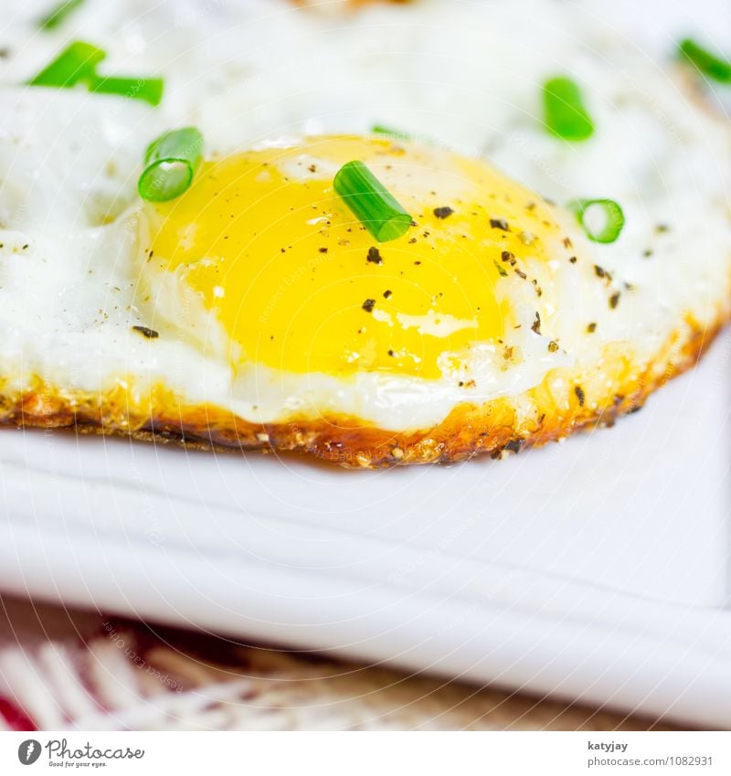 fried egg Fried egg sunny-side up Breakfast Egg Yolk Roasted Albumin Protein Chives Near Close-up Macro (Extreme close-up) Omelette Herbs and spices Hen's egg