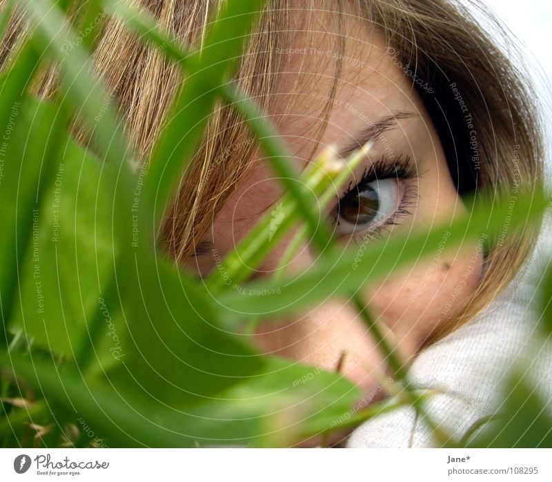 look Brown Eyelash Mascara Eyebrow Woman Light Green Grass Meadow Delicate Think Emotions Longing Beautiful Summer Eyes Detail Looking Hair and hairstyles Face