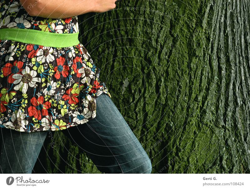 flowergirl Tree Tree bark Furrow Elephant skin Might Monument Tree trunk Woman Flowery pattern Belt Waist Green Stripe Round Blouse Pattern Multicoloured Going