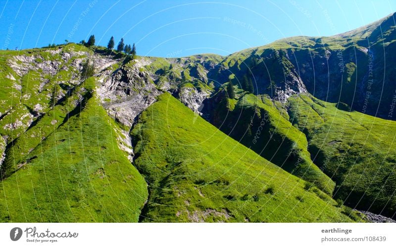 Ho-Ho, Ho-High Mountains Fir tree Grass Green Summer Cervice Colour photo Digital photography Landscape format Juicy Contentment Stone Blue Idyll Relaxation