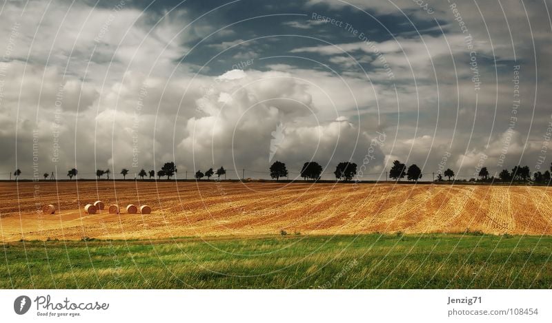 Autumn landscape. Clouds Field Tree Avenue Country road Agriculture Hay bale Sky Grain Americas Landscape Harvest Street Weather