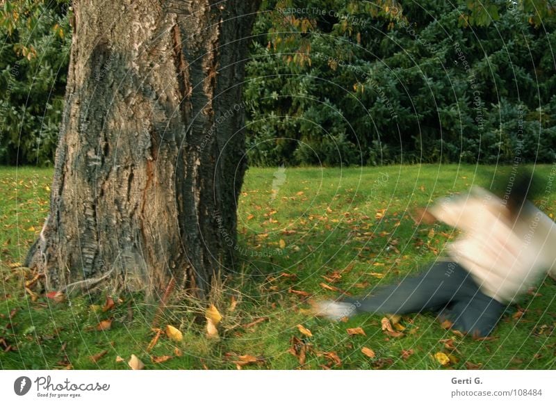 little ghost Tree Tree trunk Meadow Autumn Leaf Autumn leaves Green Brown Might Fat Strong Washed out Motion blur Ghosts & Spectres  Garden Nature Lawn Autumnal