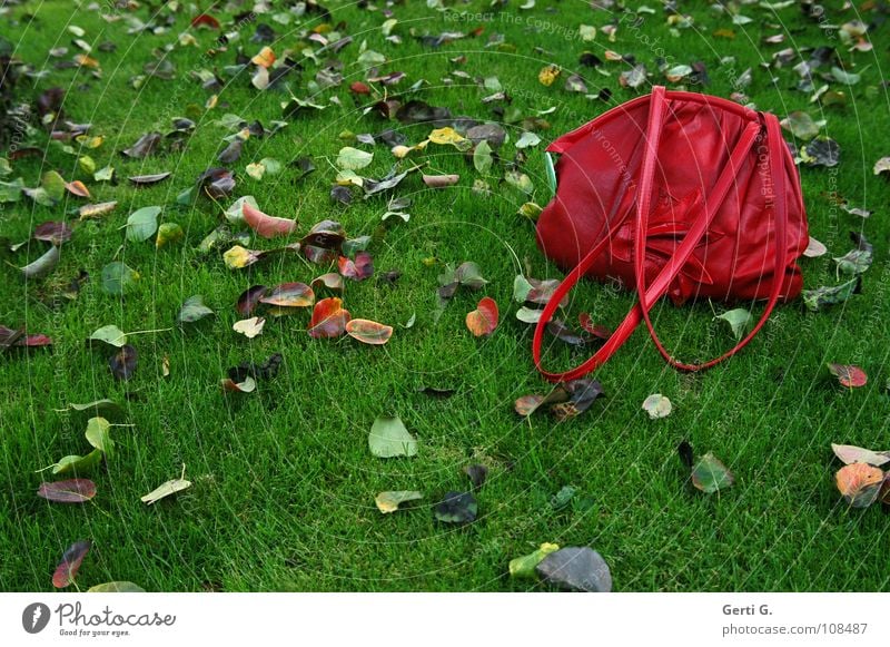 gripsack Red Yellow Green Brown Multicoloured Leaf Fresh Autumn Impression Autumn leaves Meadow Juicy Wet Bag Pouch Handbag Chic Patch of colour Greeny-red