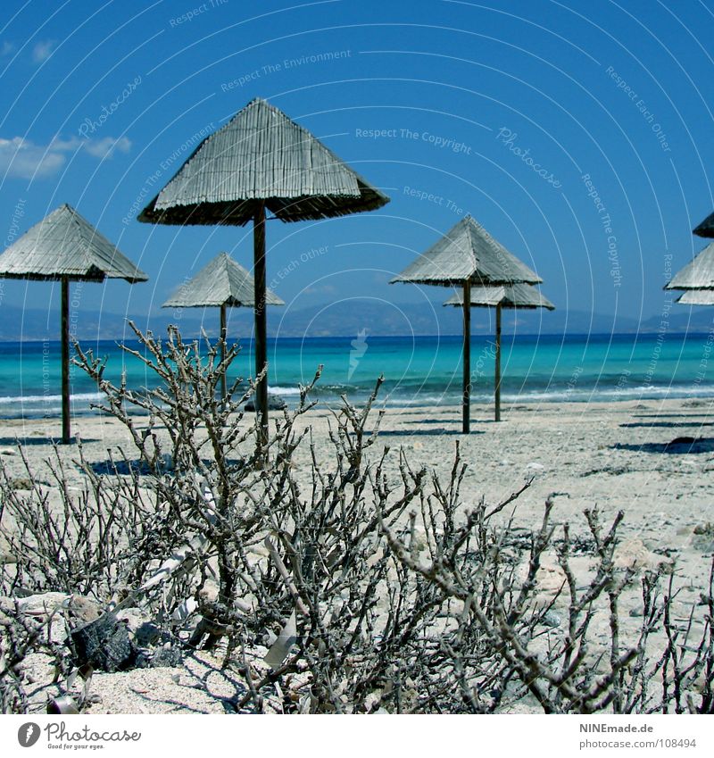 holiday feeling Beach Summer Physics Vacation & Travel Sunshade Wood Sky blue Crete Loneliness Empty Calm Vacation mood Greece Waves Ocean Horizon Bushes