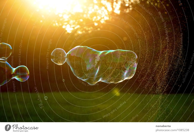 soap spirit Harmonious Calm Leisure and hobbies Sun Sculpture Nature Air Sunrise Sunset Sunlight Summer Beautiful weather Meadow Deserted flying object