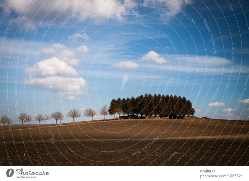 Tuscan idyll Vacation & Travel Tourism Trip Agriculture Forestry Environment Nature Landscape Plant Earth Sky Clouds Horizon Spring Climate Beautiful weather