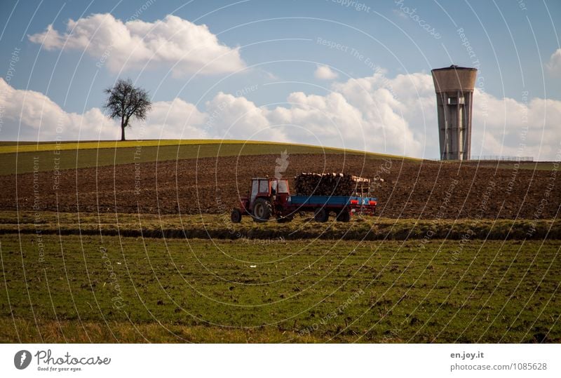 make wood Agriculture Forestry Environment Nature Landscape Plant Earth Sky Clouds Horizon Spring Climate Beautiful weather Tree Grass Field Tower Water tower