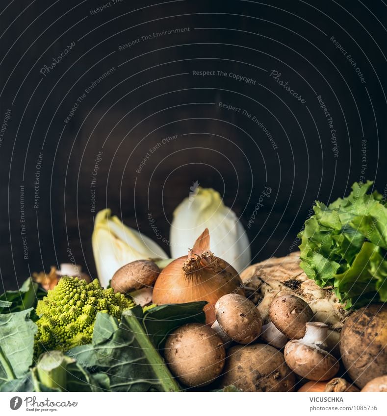 Seasonal vegetables on a dark background Food Vegetable Nutrition Shopping Style Design Healthy Eating Life Summer Garden Kitchen Nature Background picture