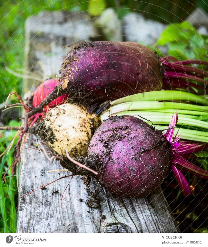 Various beetroot on old wood Food Vegetable Organic produce Vegetarian diet Diet Lifestyle Design Healthy Eating Leisure and hobbies Summer Garden Nature Autumn