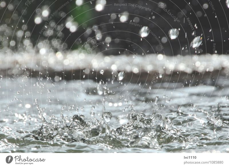 Sitting at the fountain Water Drops of water Sunlight Summer Garden Park Stone Observe Glittering Looking Fluid Healthy Cold Wet Clean Blue Gray Green Black