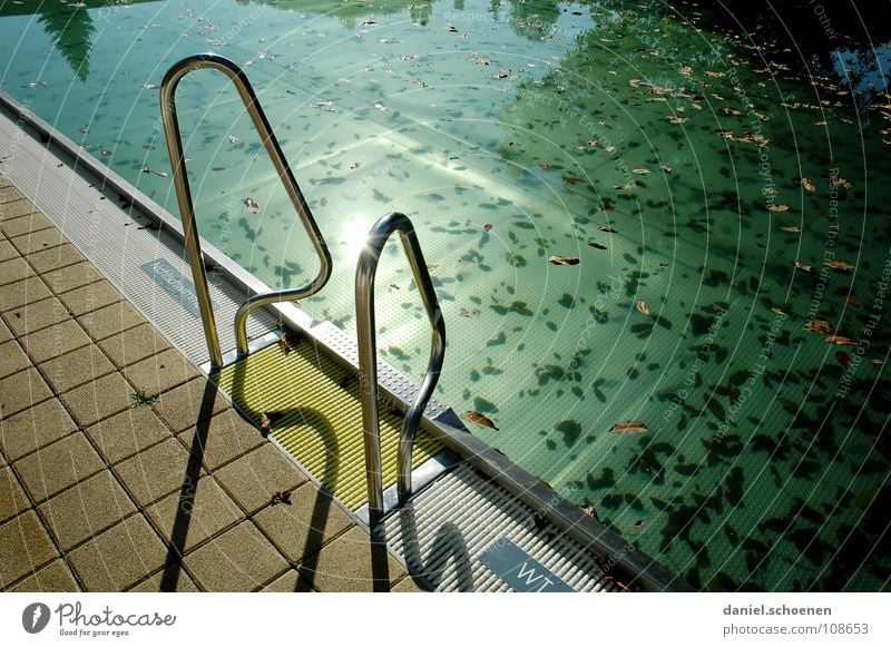 the other day at the outdoor pool 5 Swimming pool Open-air swimming pool Autumn Holiday season End of the season Leaf Cyan Green Background picture Abstract