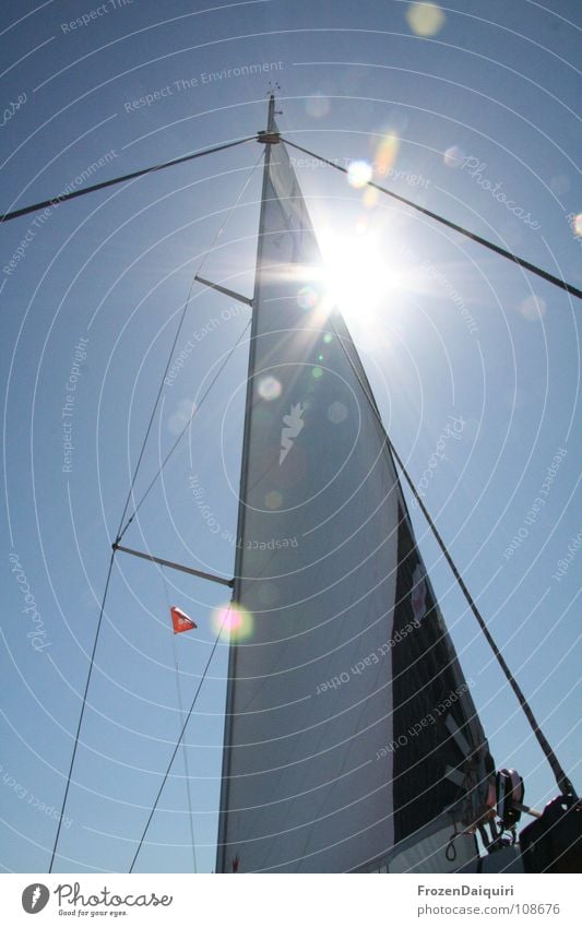 Rig #3 Rigging Shrouds Clouds Croatia Wide angle Sky Ocean Vacation & Travel Summer Light Tree Sailboat Watercraft Sailing Aquatics mainsail saling