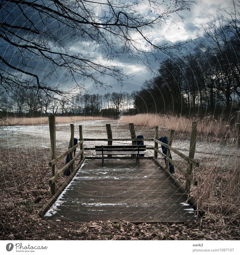 box seat Environment Nature Landscape Plant Idyll Calm Bench Wood viewing platform Vantage point Handrail Simple Colour photo Exterior shot Deserted