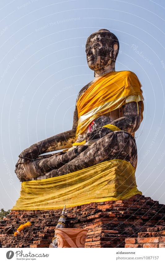 Buddha Art Exhibition Sculpture Culture Subculture Relaxation Sit Colour photo Exterior shot Deserted Day Light Sunlight