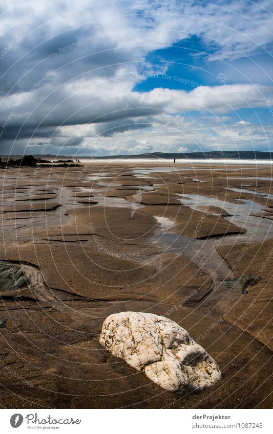 Stone at low tide Vacation & Travel Tourism Trip Far-off places Freedom Hiking Environment Nature Landscape Plant Animal Elements Spring Beautiful weather