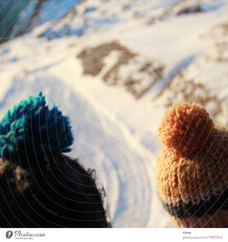 air show 2 Human being Winter Beautiful weather Mountain Woolen hat Cap Observe Flying Looking Wait Tall Adventure Experience Concentrate Passion Moody