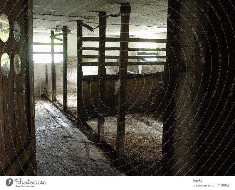 stable Barn Empty Straw Historic Shadow/Light